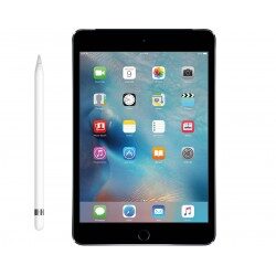 iPad mini 5 (A2133)